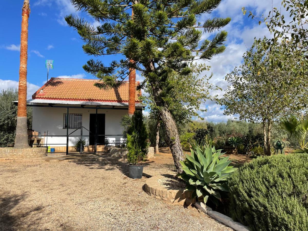 El Paraiso Del Olivar Bollullos de la Mitación Exterior photo