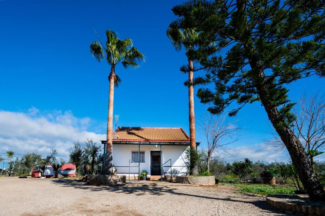 El Paraiso Del Olivar Bollullos de la Mitación Exterior photo