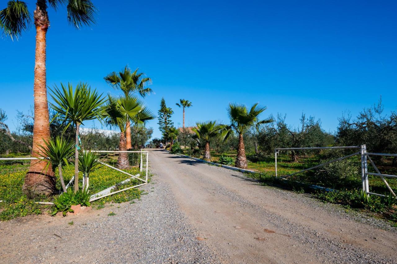 El Paraiso Del Olivar Bollullos de la Mitación Exterior photo