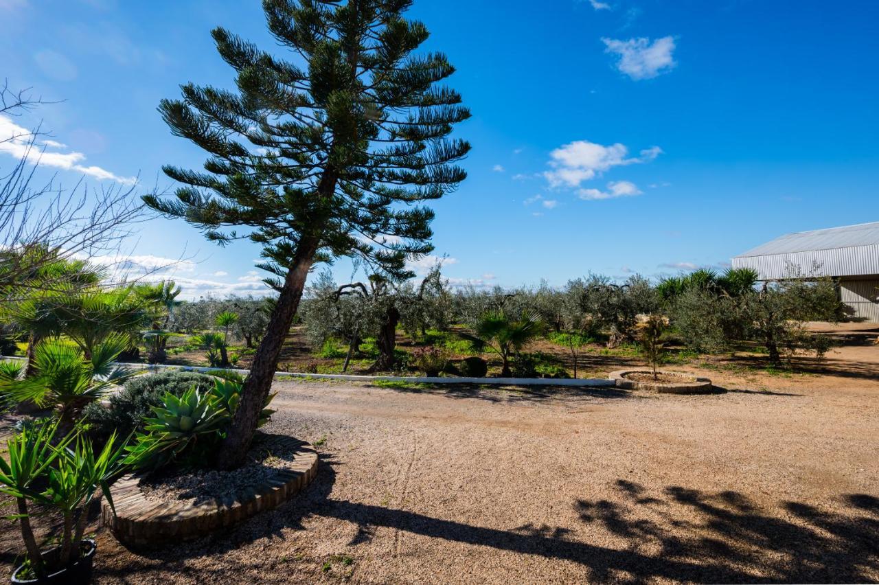 El Paraiso Del Olivar Bollullos de la Mitación Exterior photo