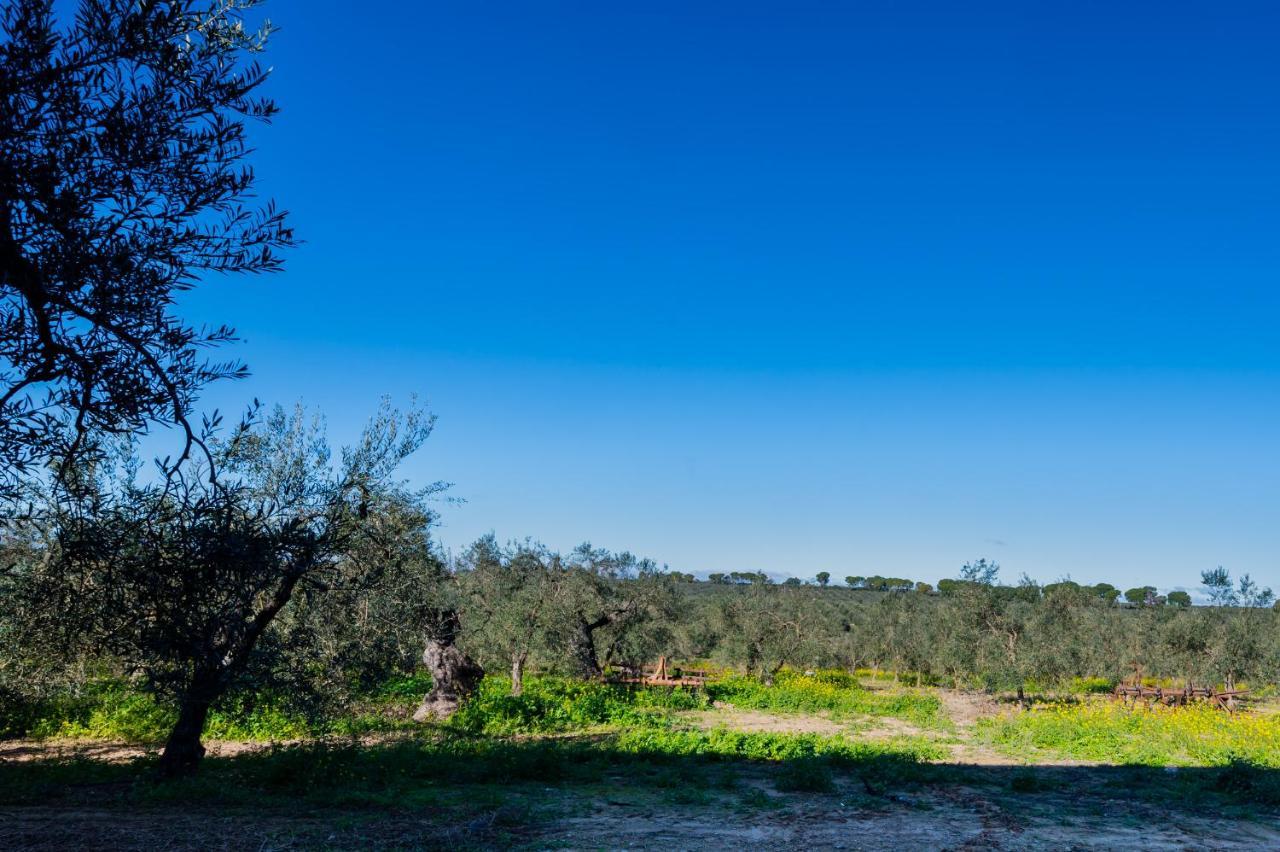 El Paraiso Del Olivar Bollullos de la Mitación Exterior photo